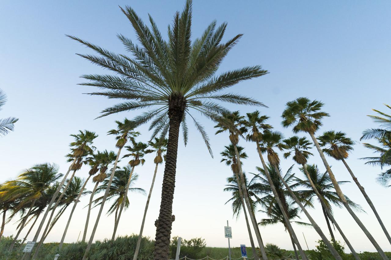 Ocean Surf Hotel Miami Beach Exterior photo